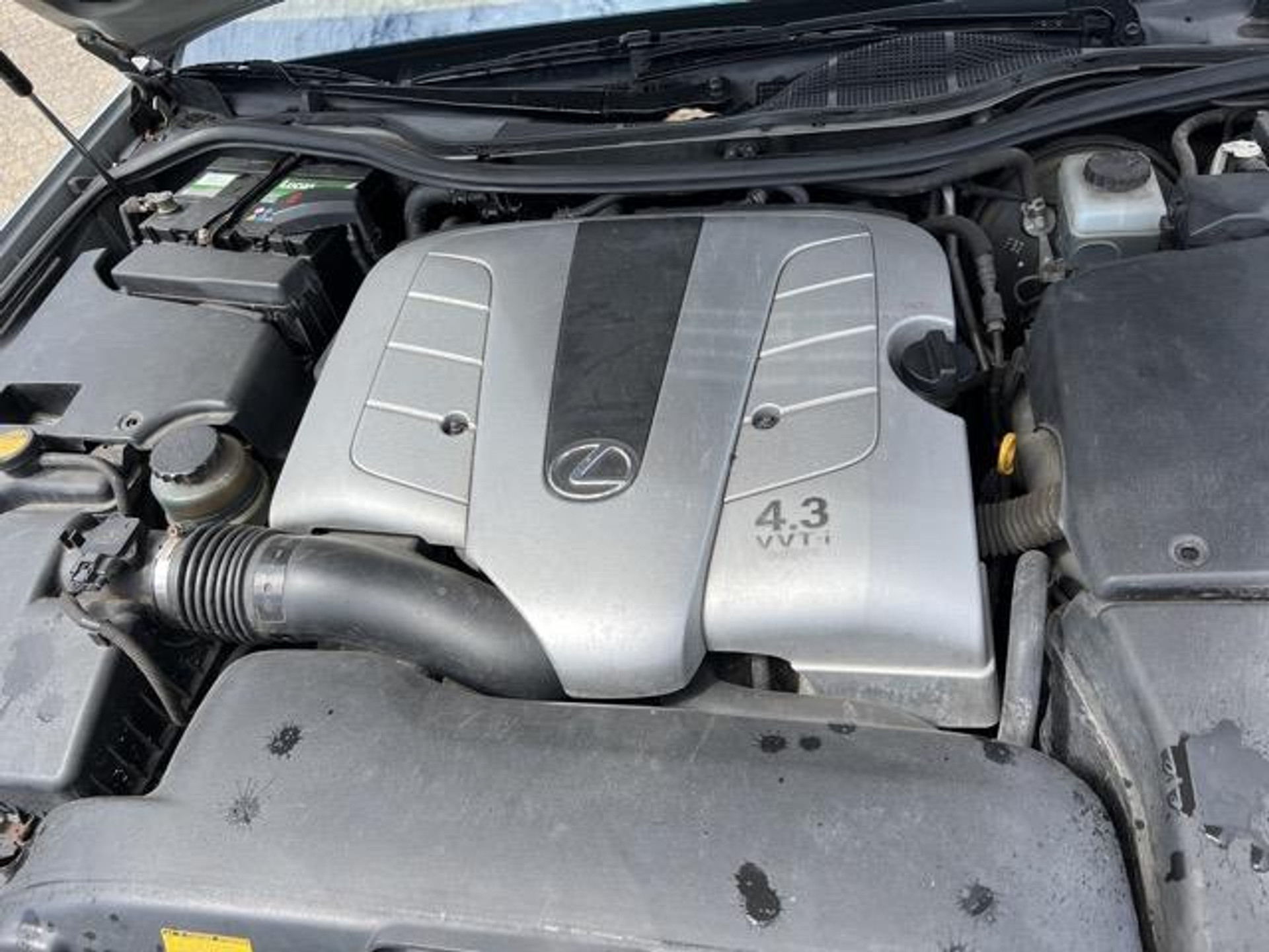 38712403-10.jpg