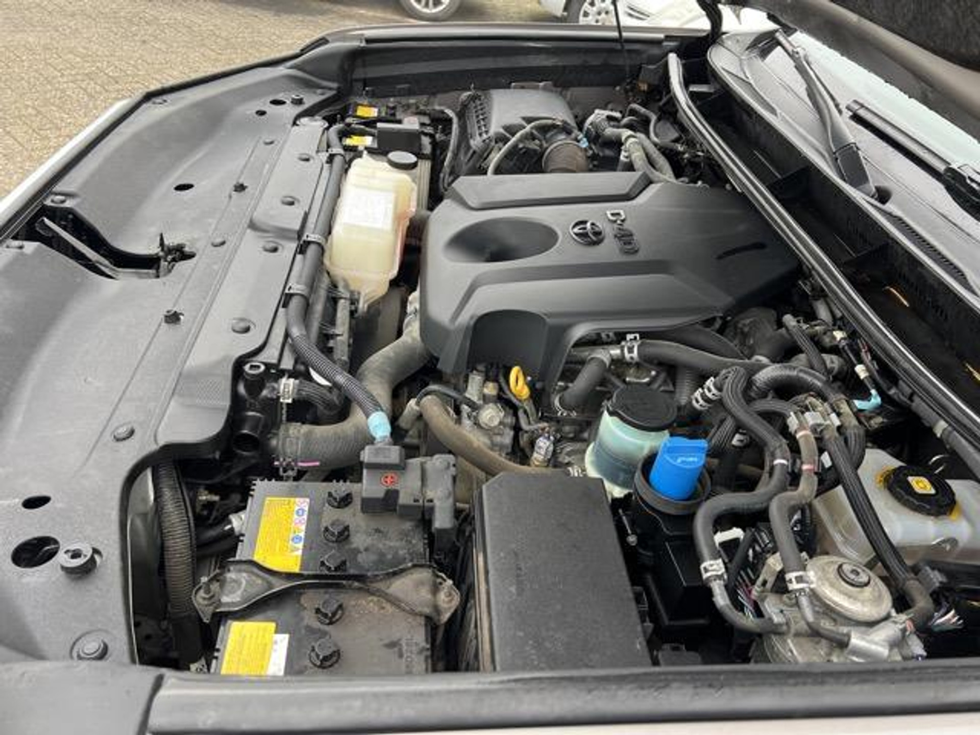 42618095-28.jpg