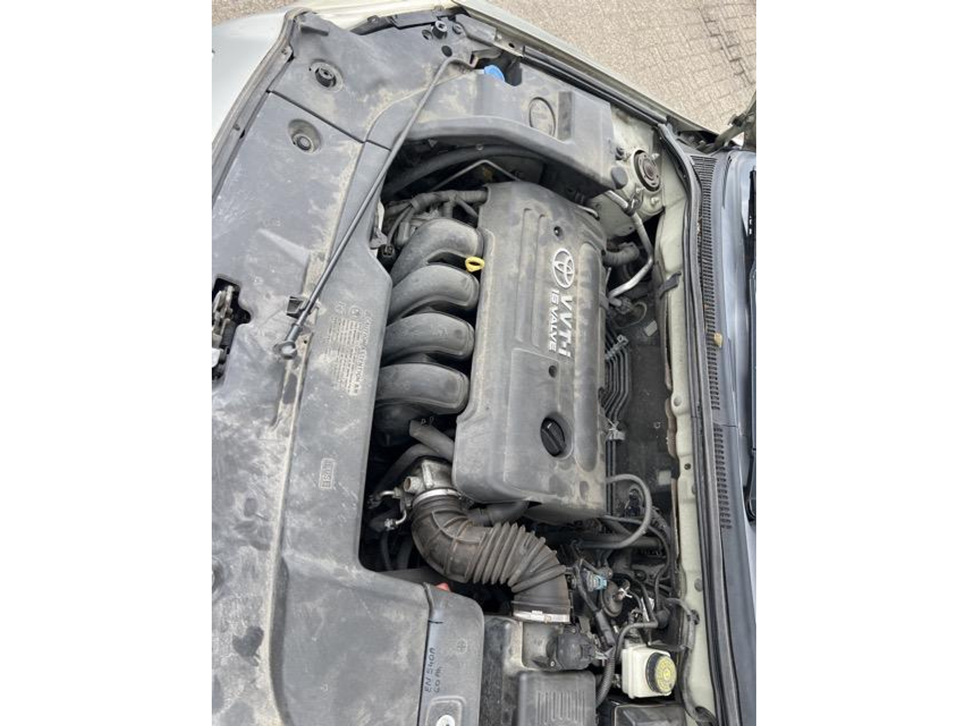 46072891-12.jpg