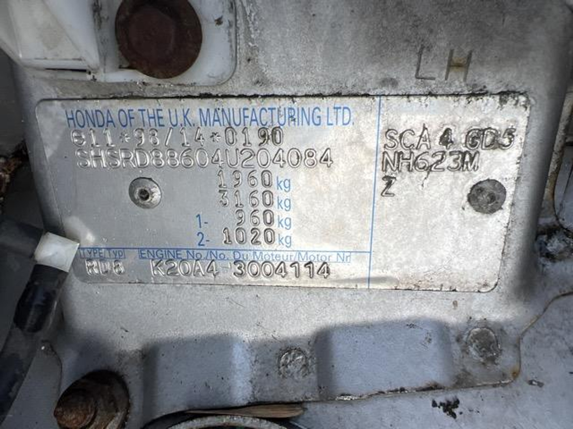 47036303-14.jpg