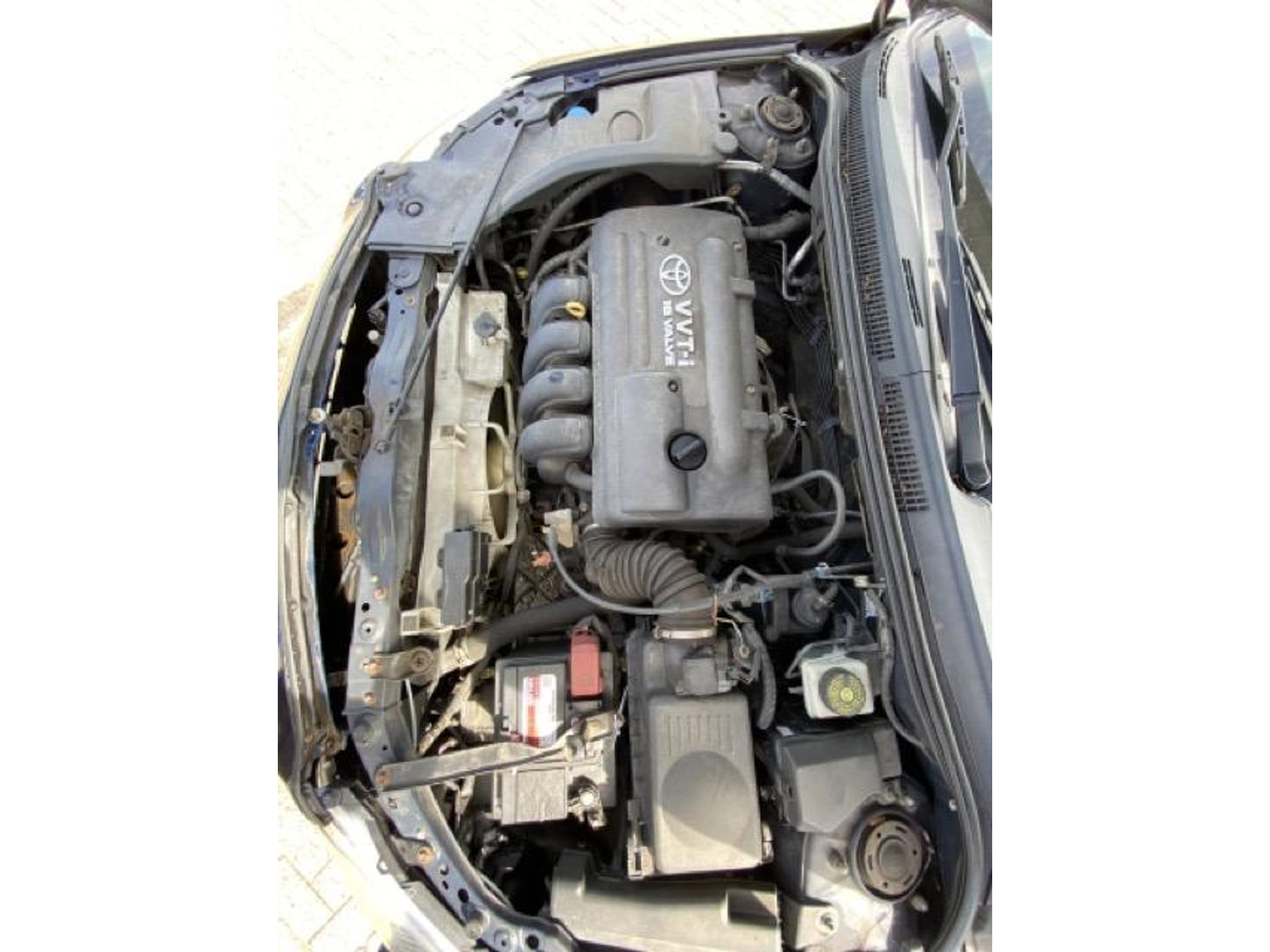 47506455-12.jpg