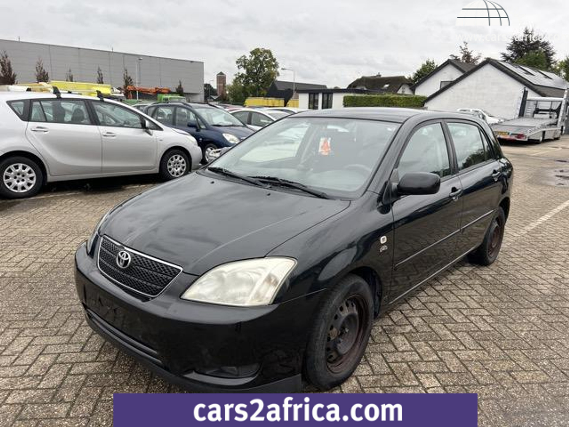 51962054-17.jpg