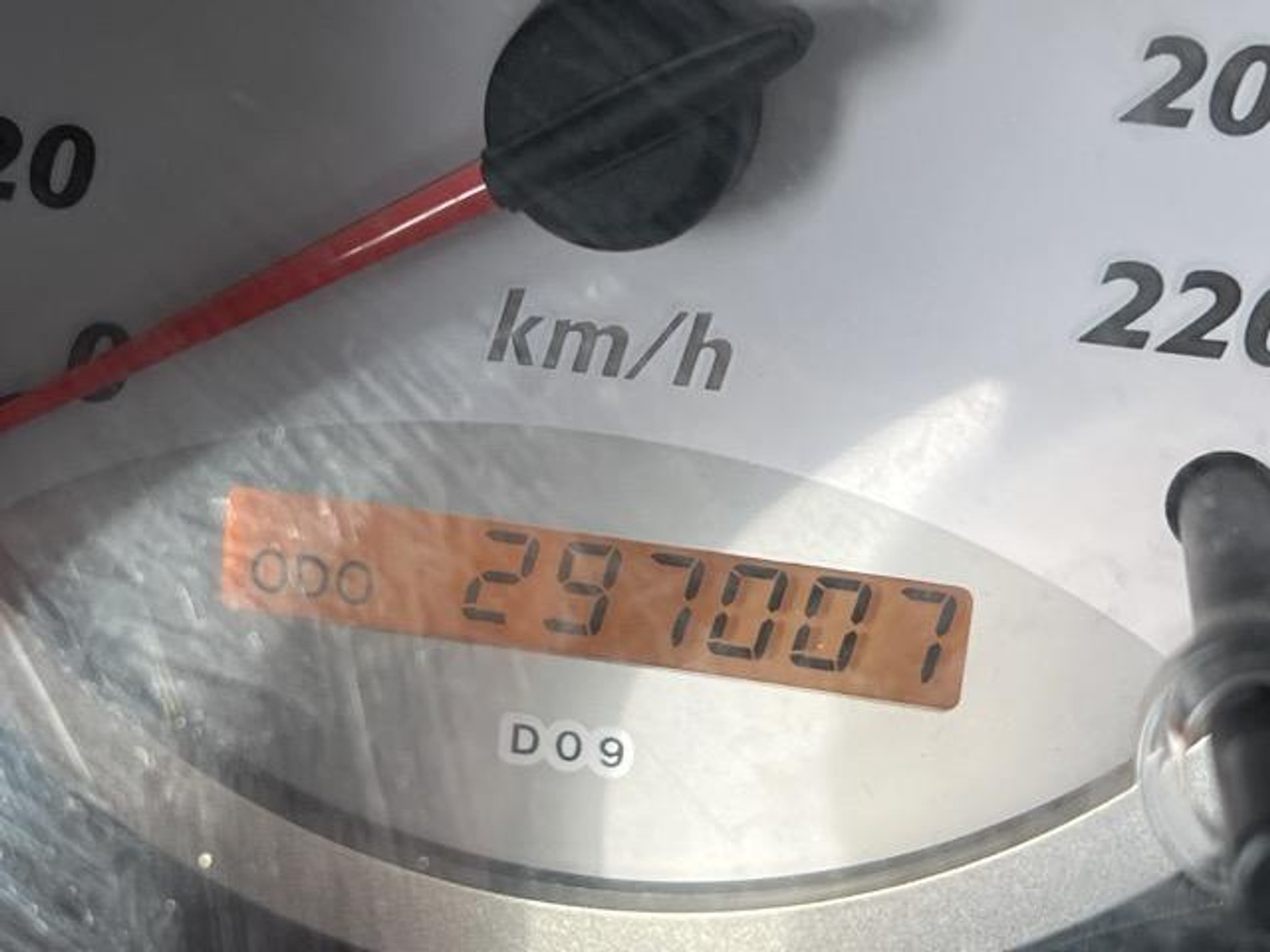 47832932-13.jpg