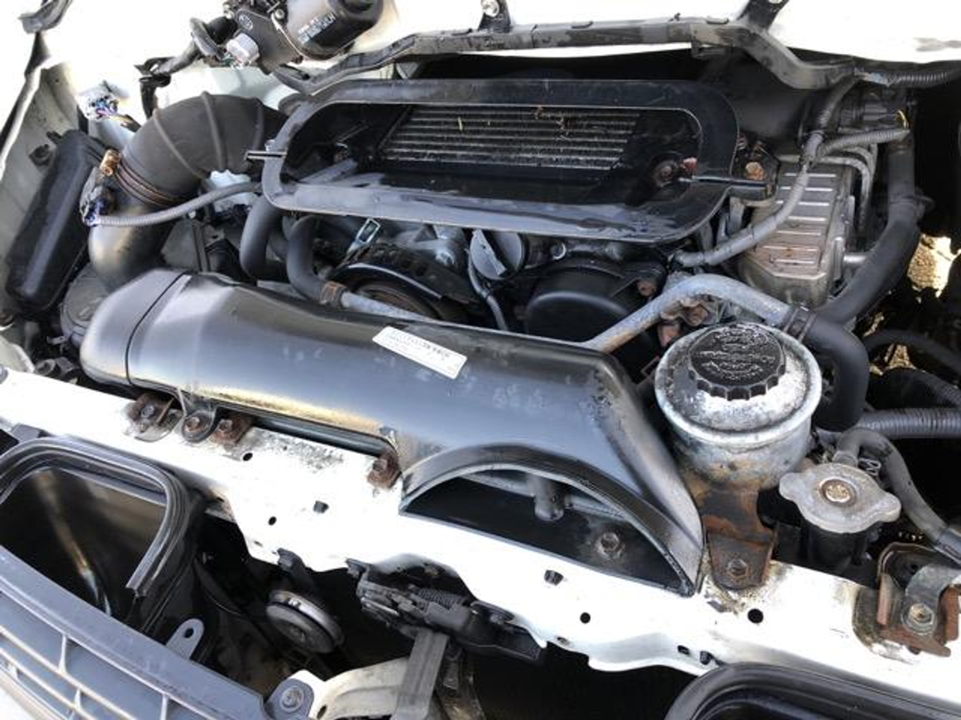 47870911-12.jpg