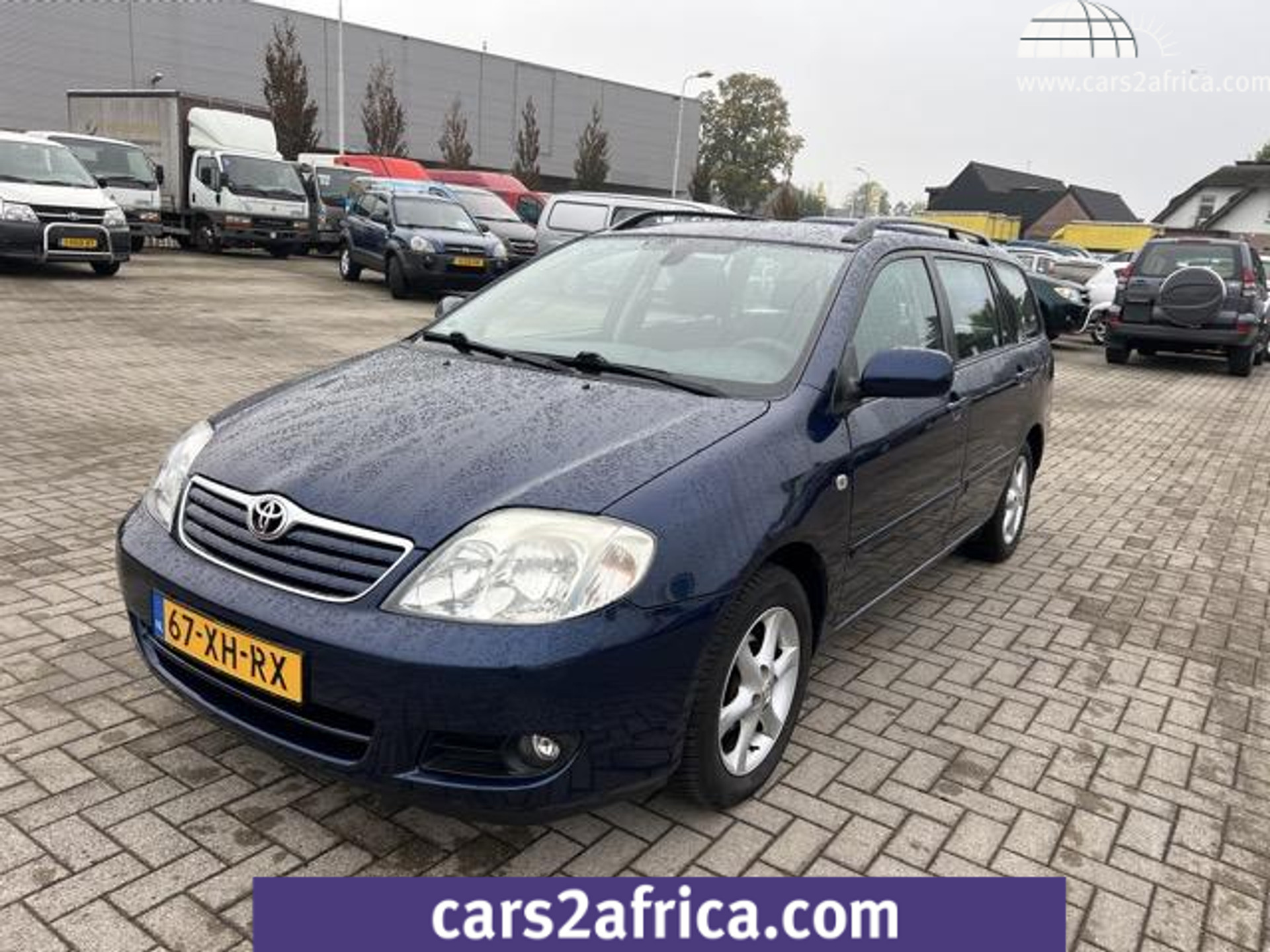 53010447-17.jpg