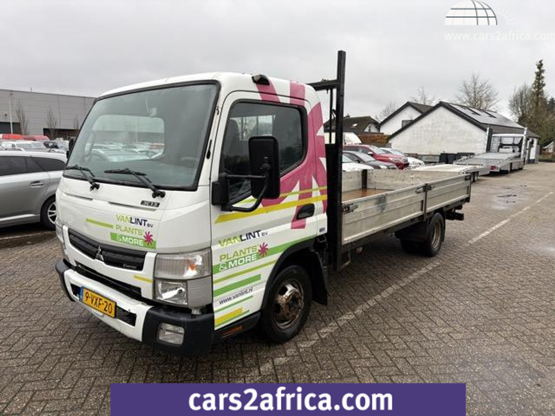 55023177-29.jpg