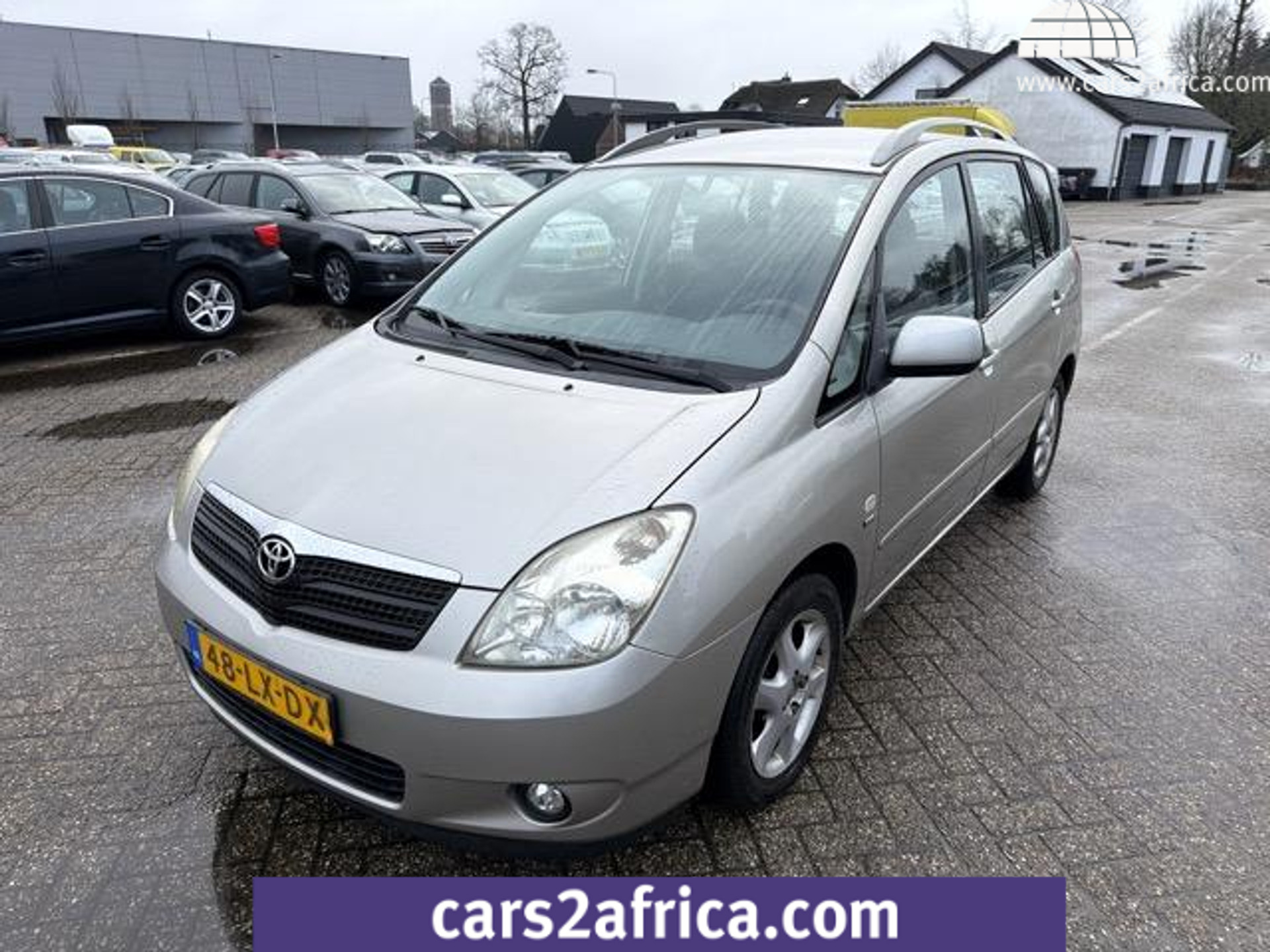 46451219-19.jpg