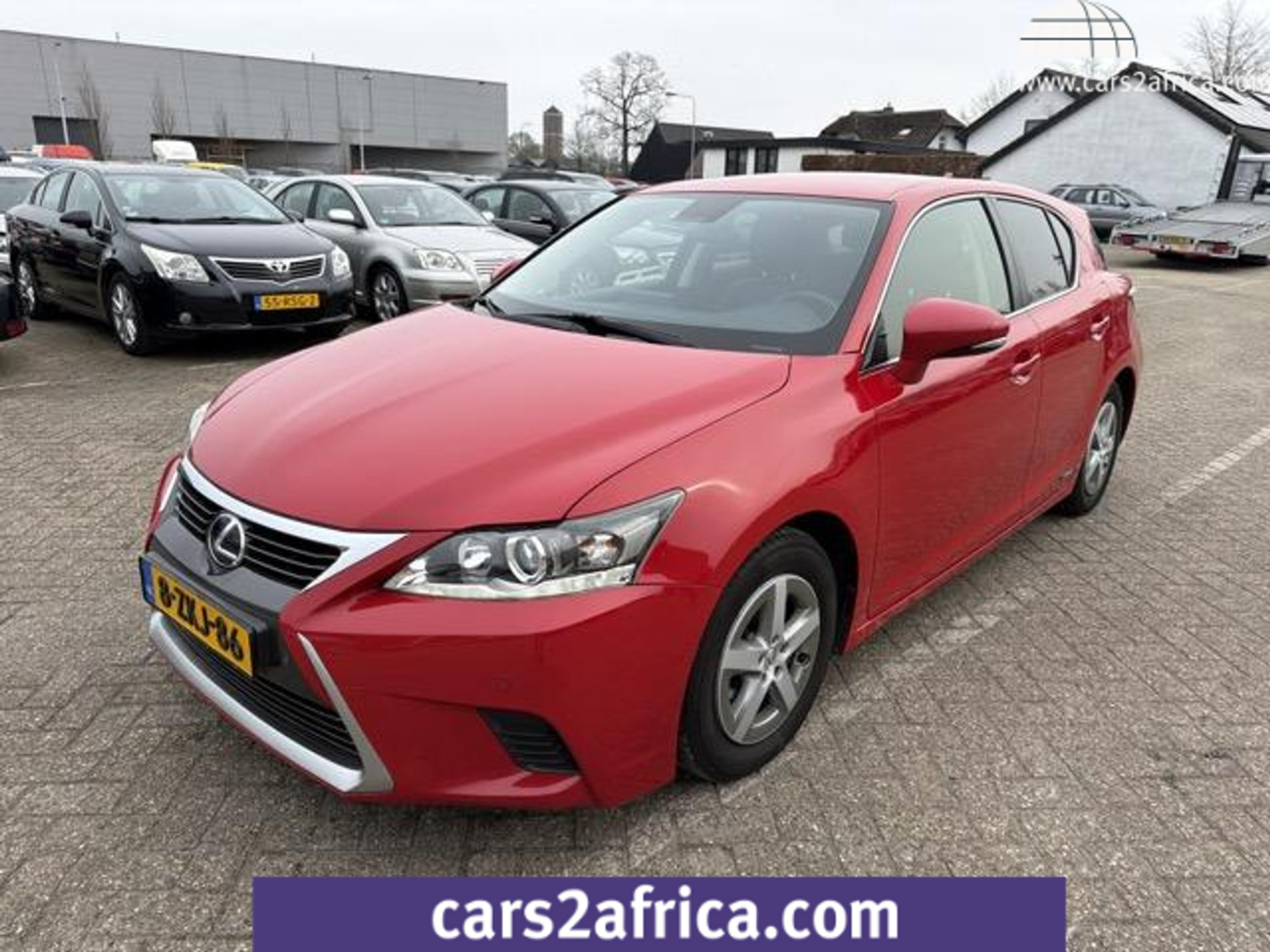 41563943-25.jpg