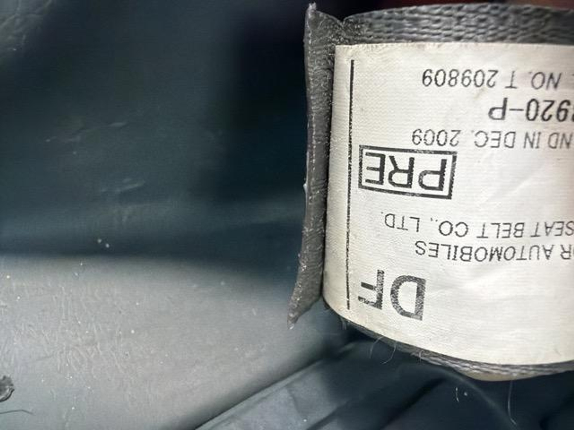 52960390-14.jpg