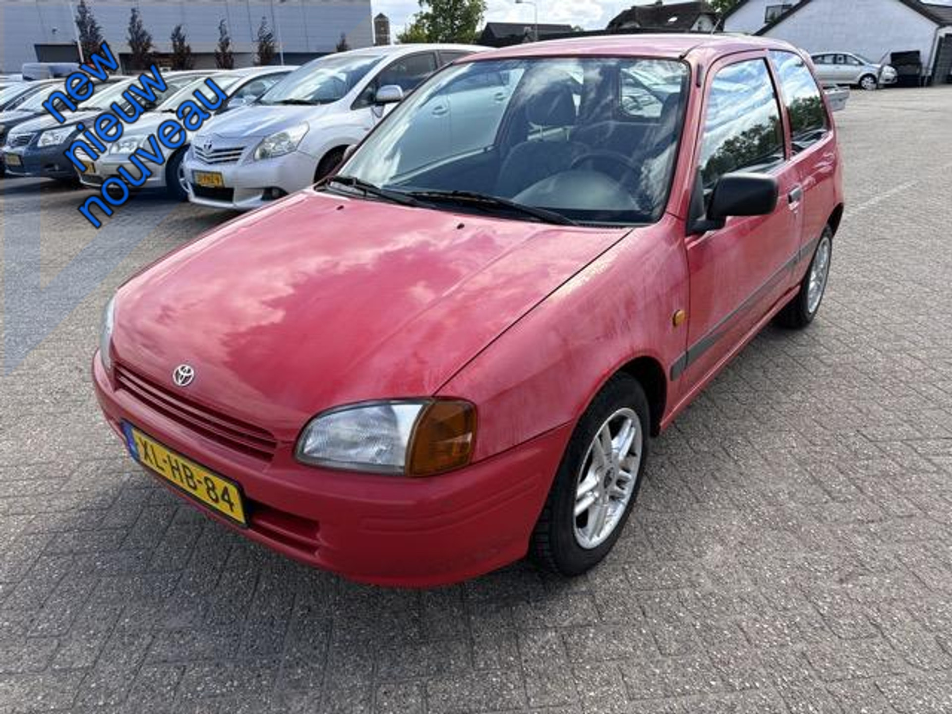 49216772-17.jpg