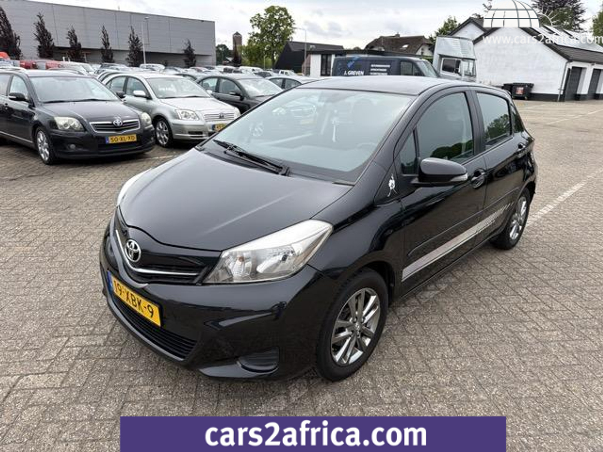 53746969-18.jpg