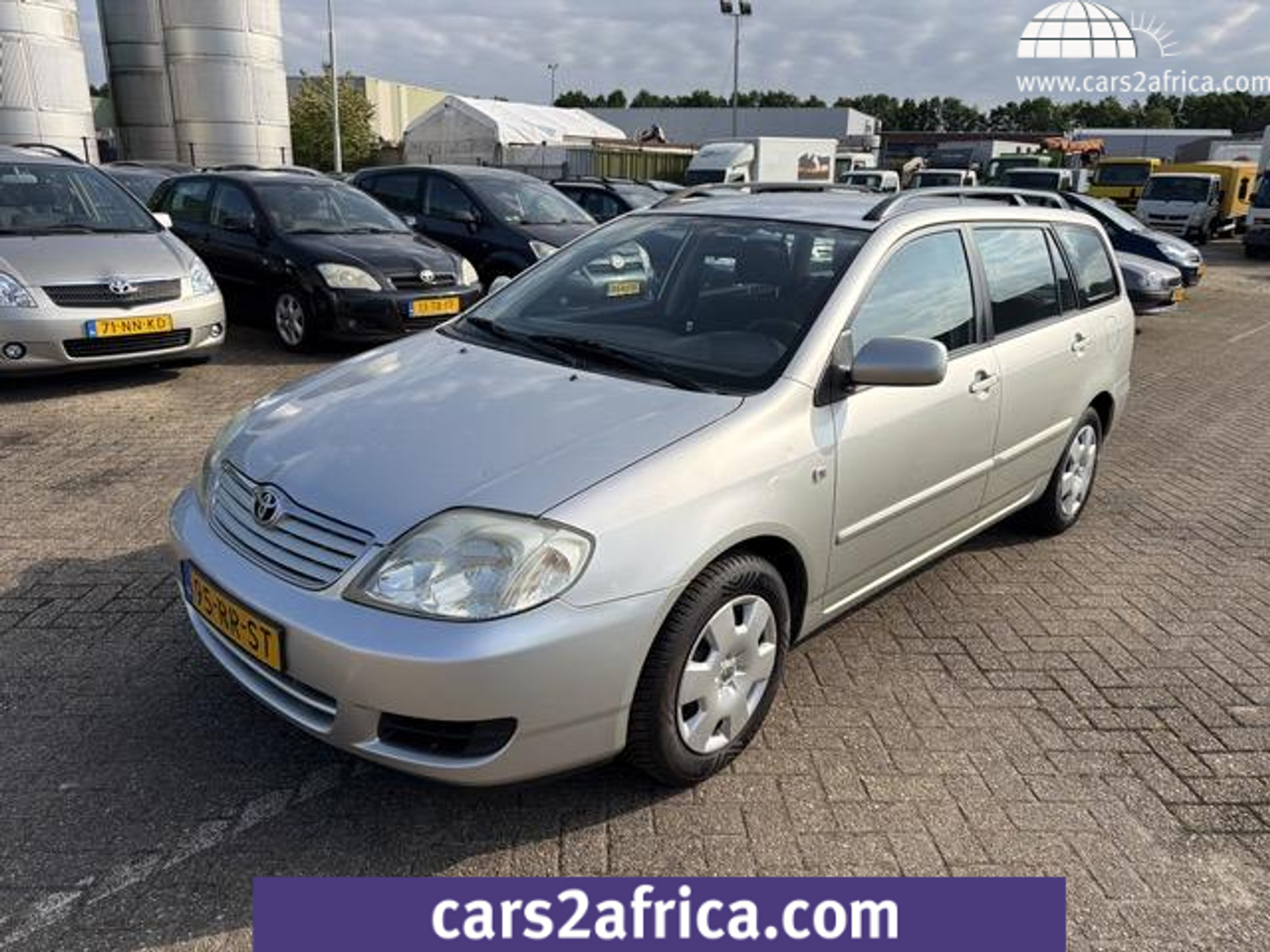 51269332-21.jpg