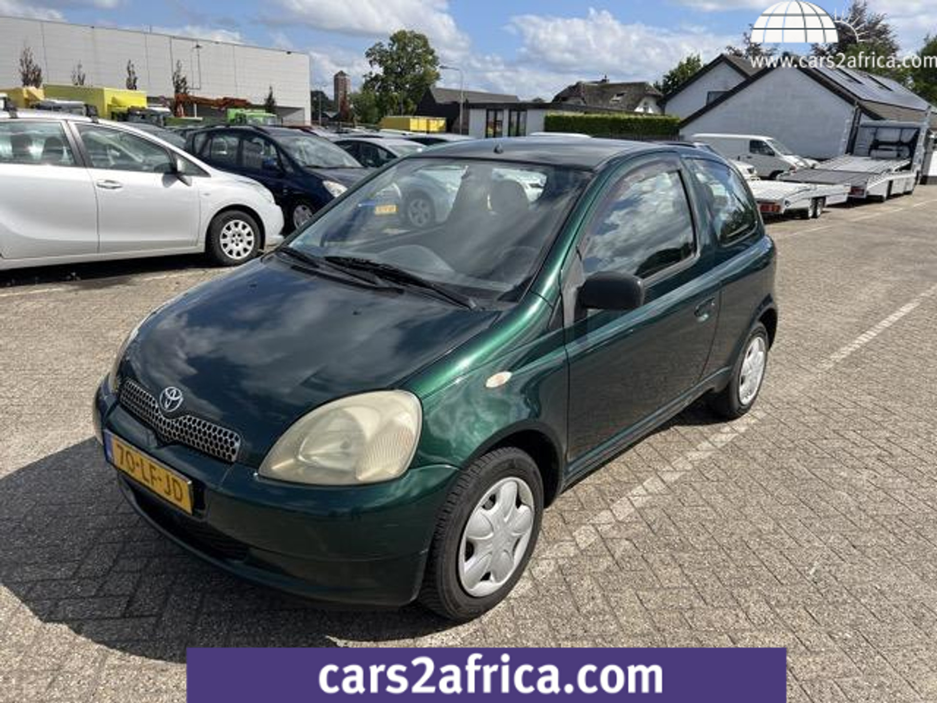 52343441-19.jpg