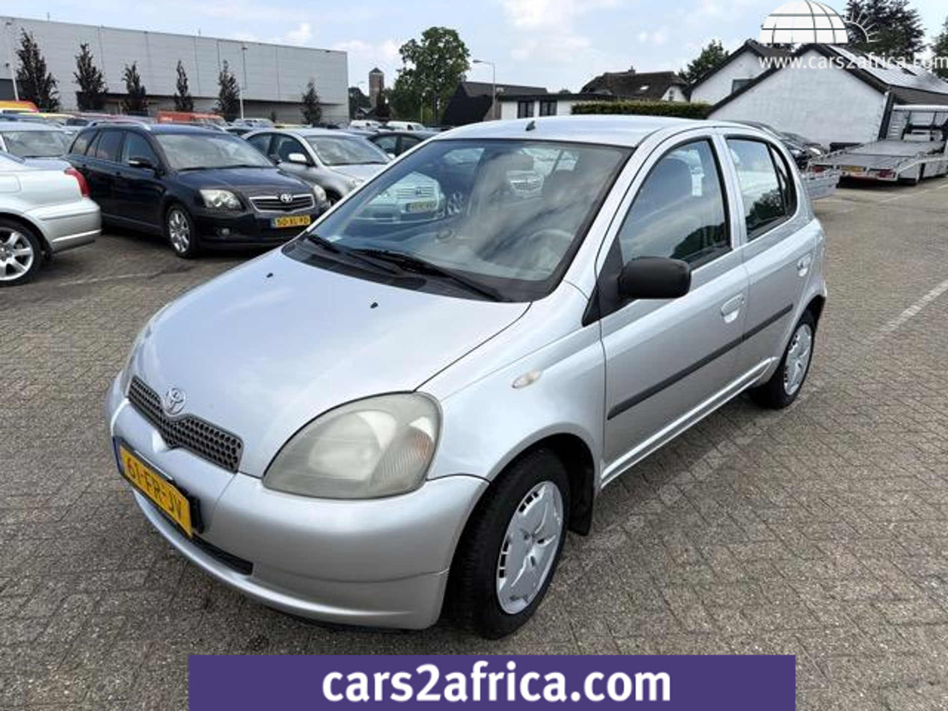 54882248-18.jpg