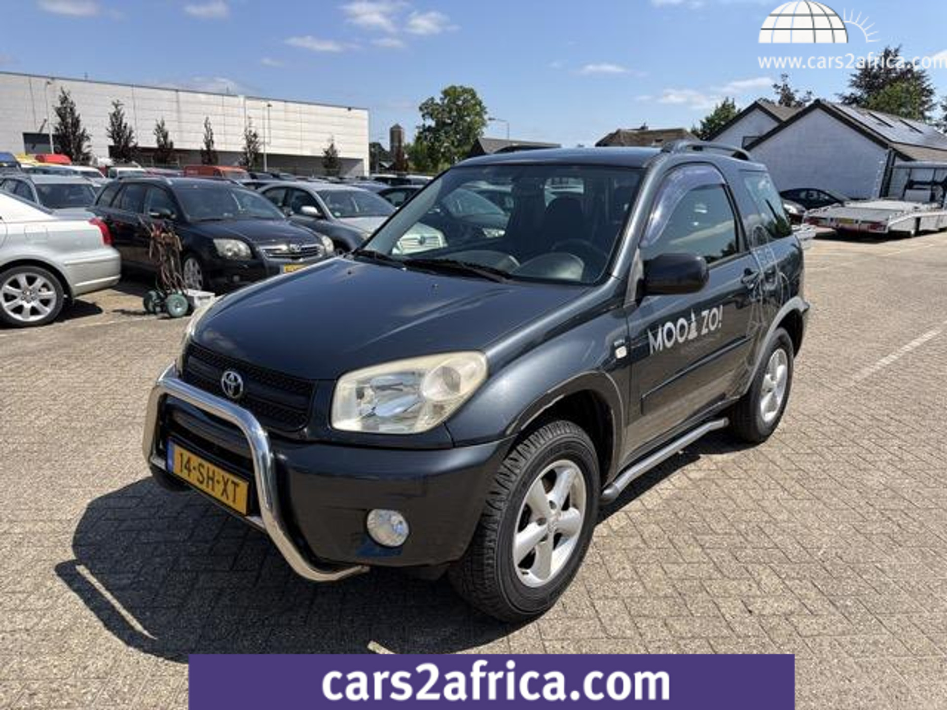 44121592-17.jpg