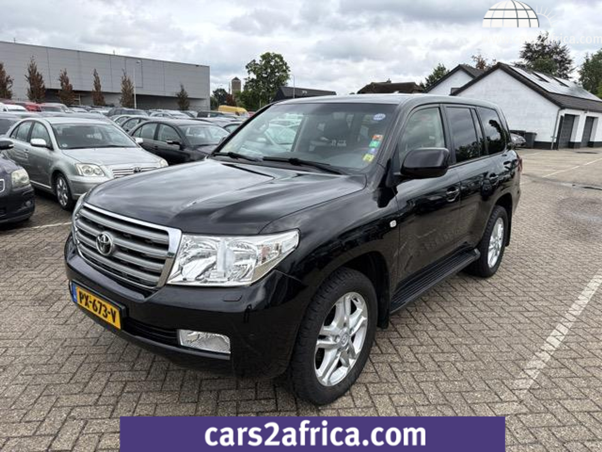 56050534