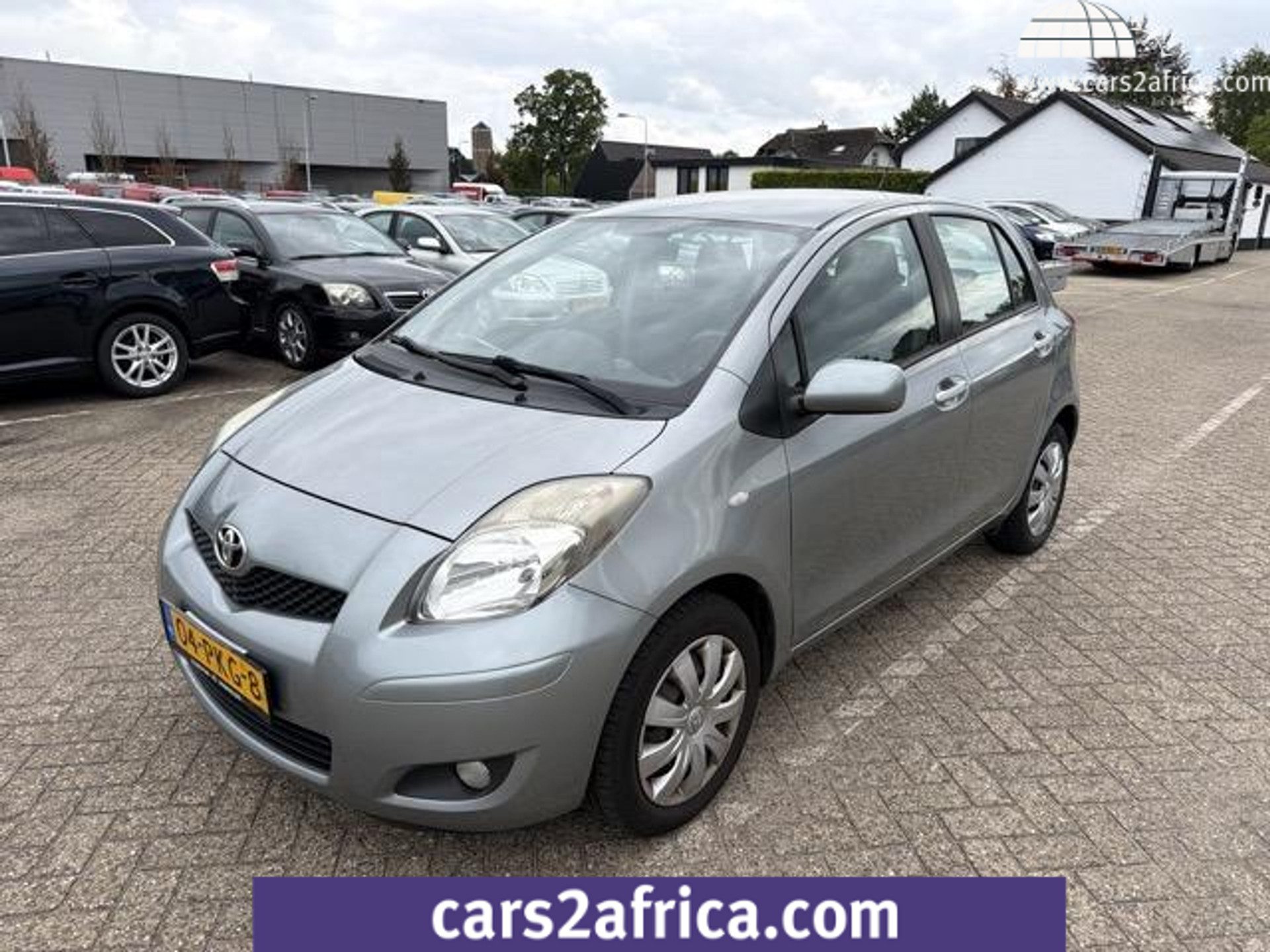 54217288-21.jpg