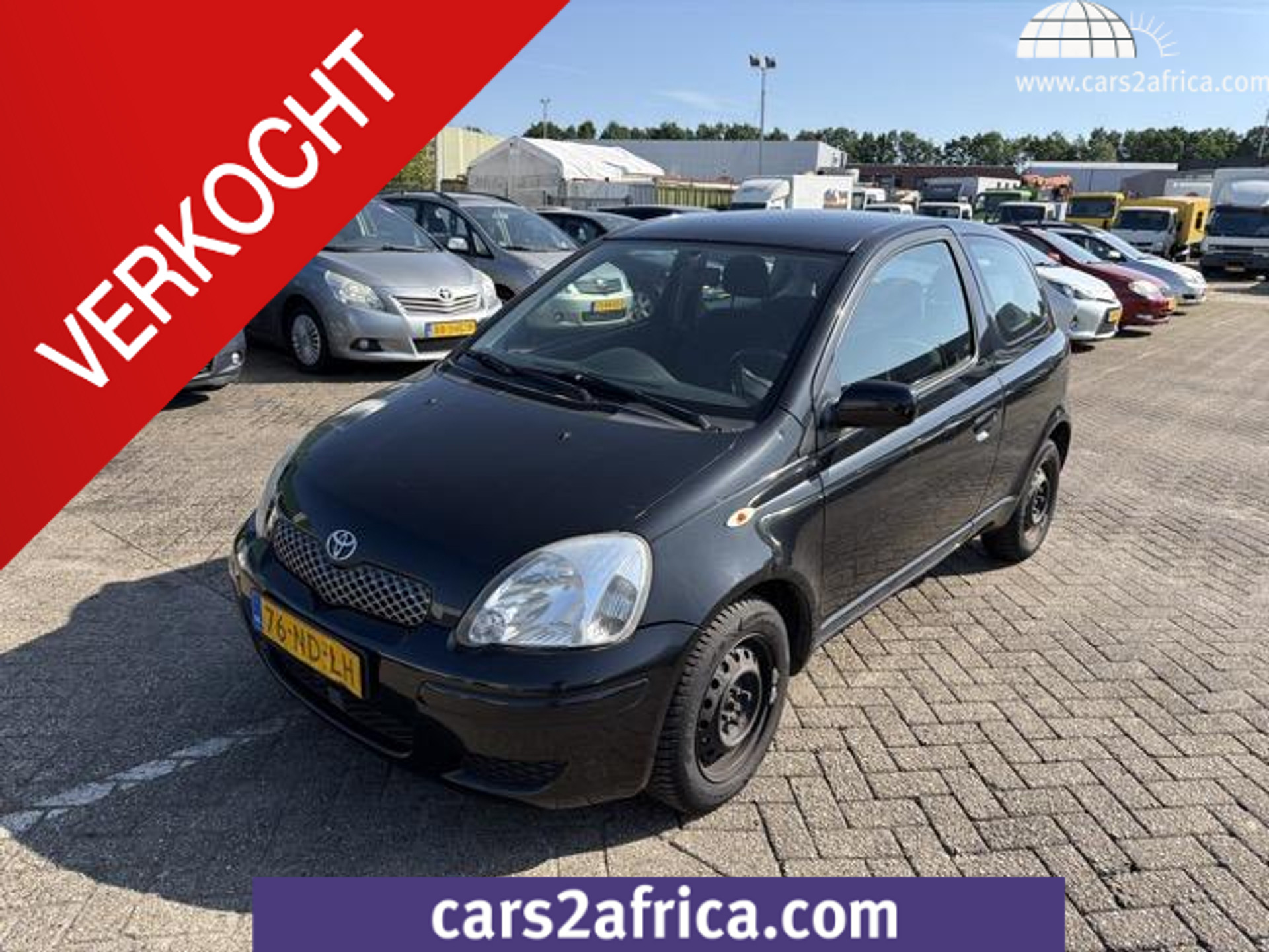 53748067